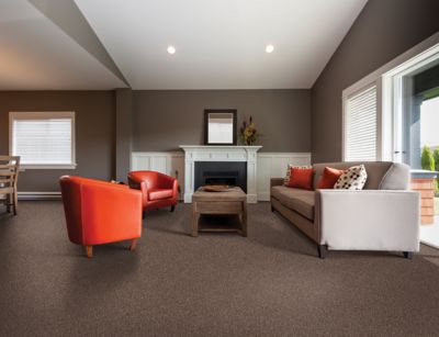 Mohawk Durable Carpet in Living Room