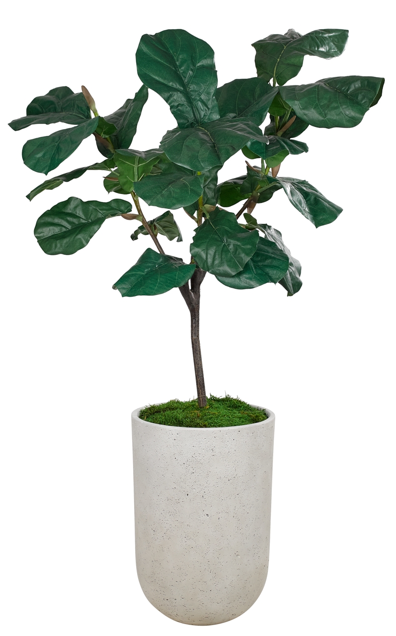 NDI - Natural Decorations Fiddle Leaf Fig Foliage