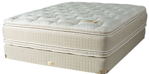 Shifman Masters Mattress Collection Matisse