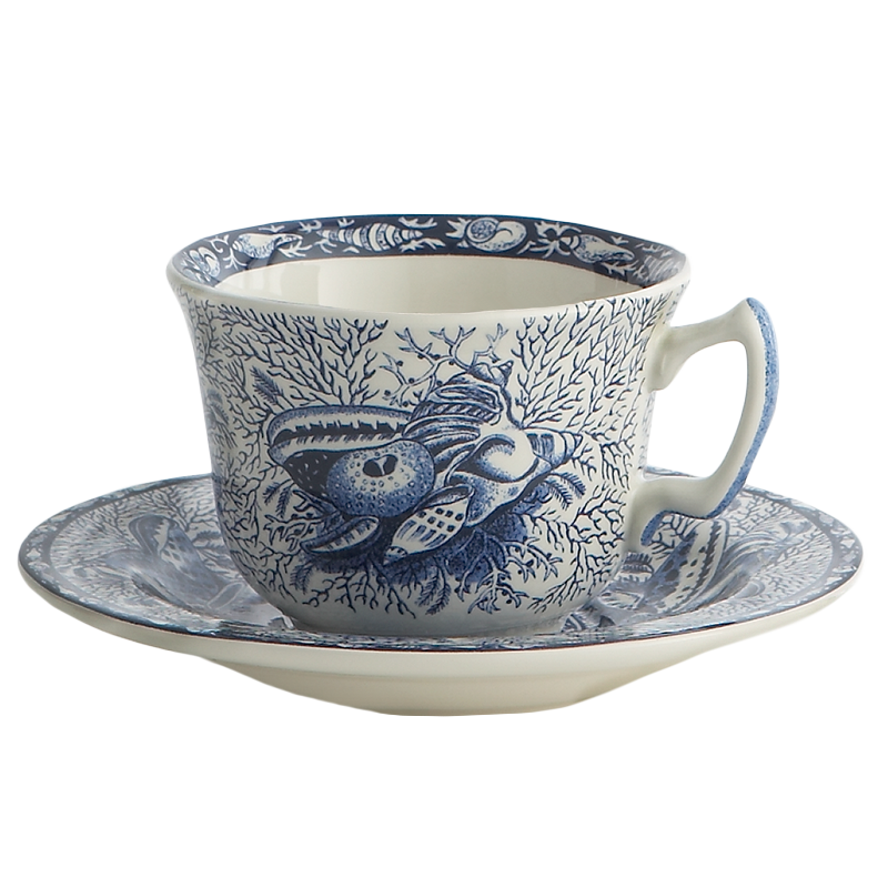Mottahedeh China Teacup & Saucer