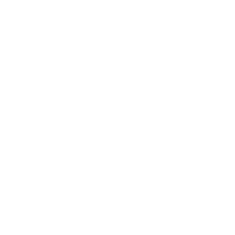 Hickory Chair