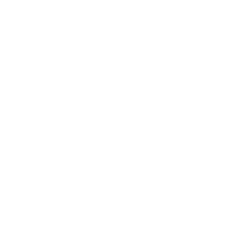 Leick Home